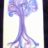 arbre belu-violet